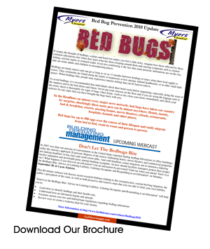 Bed bug brochure